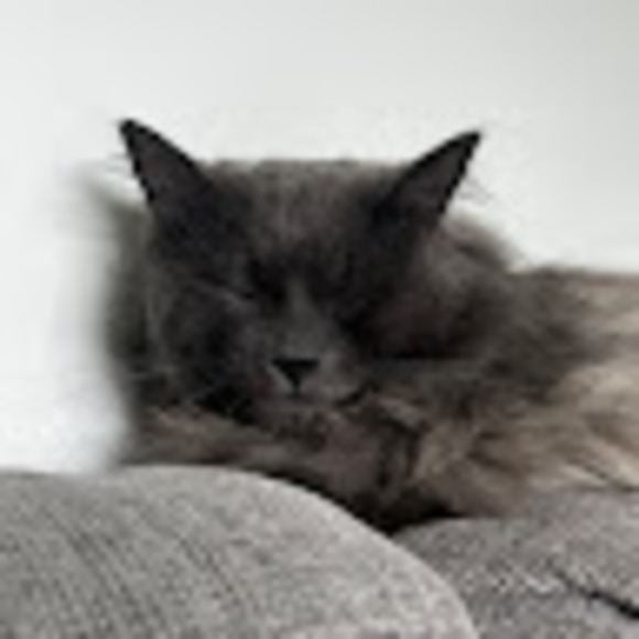 Meet your Posher, Ains - Picture 1 of 1